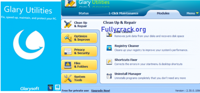 Glary Utilities Pro 5.207.0.236 for windows instal